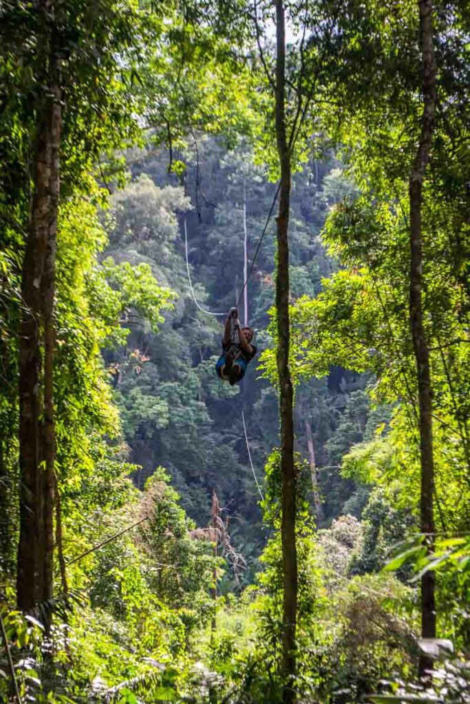 The Gibbon Experience Laos: an ecotourism treehouse experience! Stay the night in the world's highest treehouses.