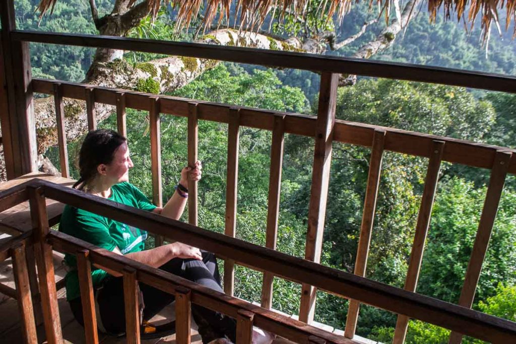 The Gibbon Experience Laos: an ecotourism treehouse experience! Stay the night in the world's highest treehouses.