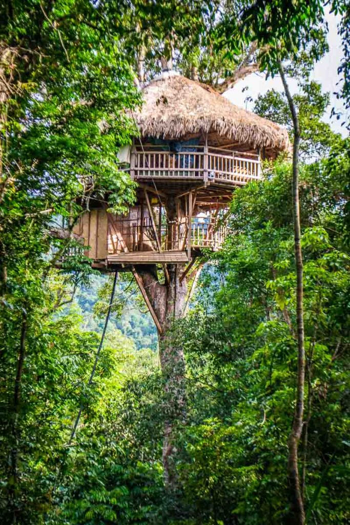 The Gibbon Experience Laos: an ecotourism treehouse experience!