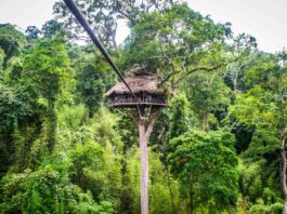 The Gibbon Experience Laos: an ecotourism treehouse experience!