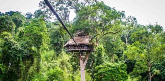 Guide to The Gibbon Experience in Laos The Gibbon Experience Laos: an ecotourism treehouse experience!