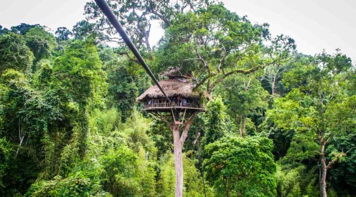 Guide to The Gibbon Experience in Laos The Gibbon Experience Laos: an ecotourism treehouse experience!