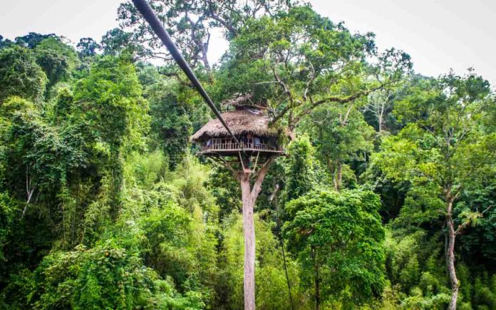 The Gibbon Experience Laos: an ecotourism treehouse experience!