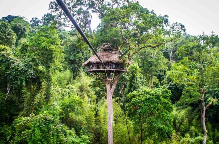 The Gibbon Experience Laos: an ecotourism treehouse experience!