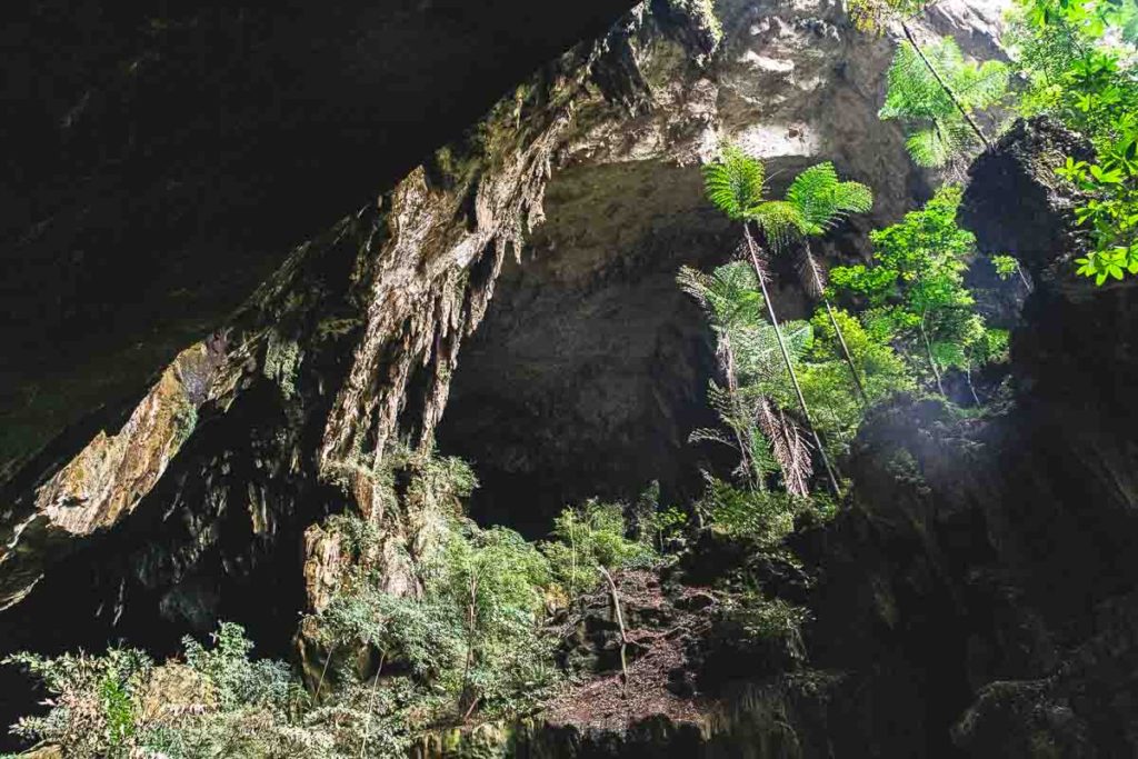 Deer Cave at Gunung Mulu National Park