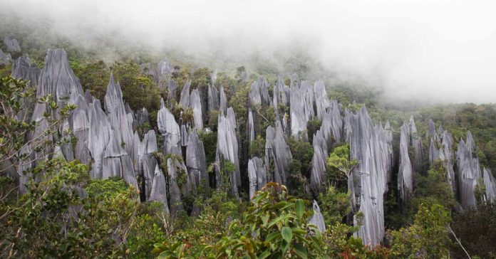 Gunung Mulu National Park