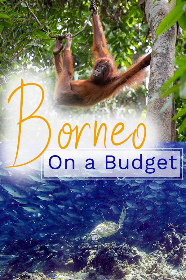 Pin for Borneo on a budget