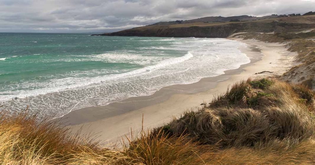 Best Things to do on the Otago Peninsula: Sandfly Bay